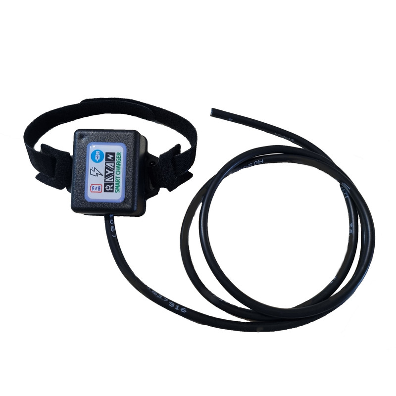 شارژر 24 وات رایان مدل 12V-2A